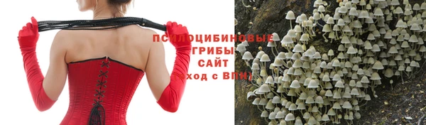 амф Бугульма
