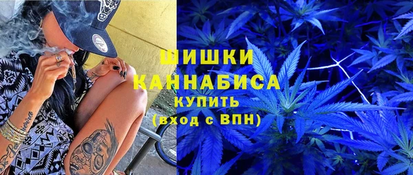 гидропоника Бородино