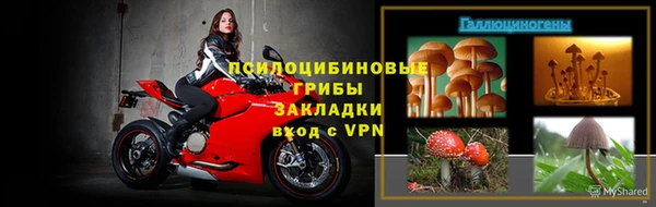 гидропоника Бородино