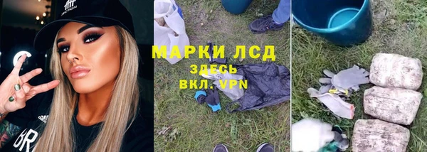 гидропоника Бородино