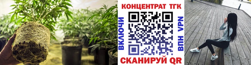 цены наркотик  Верхоянск  ТГК концентрат 